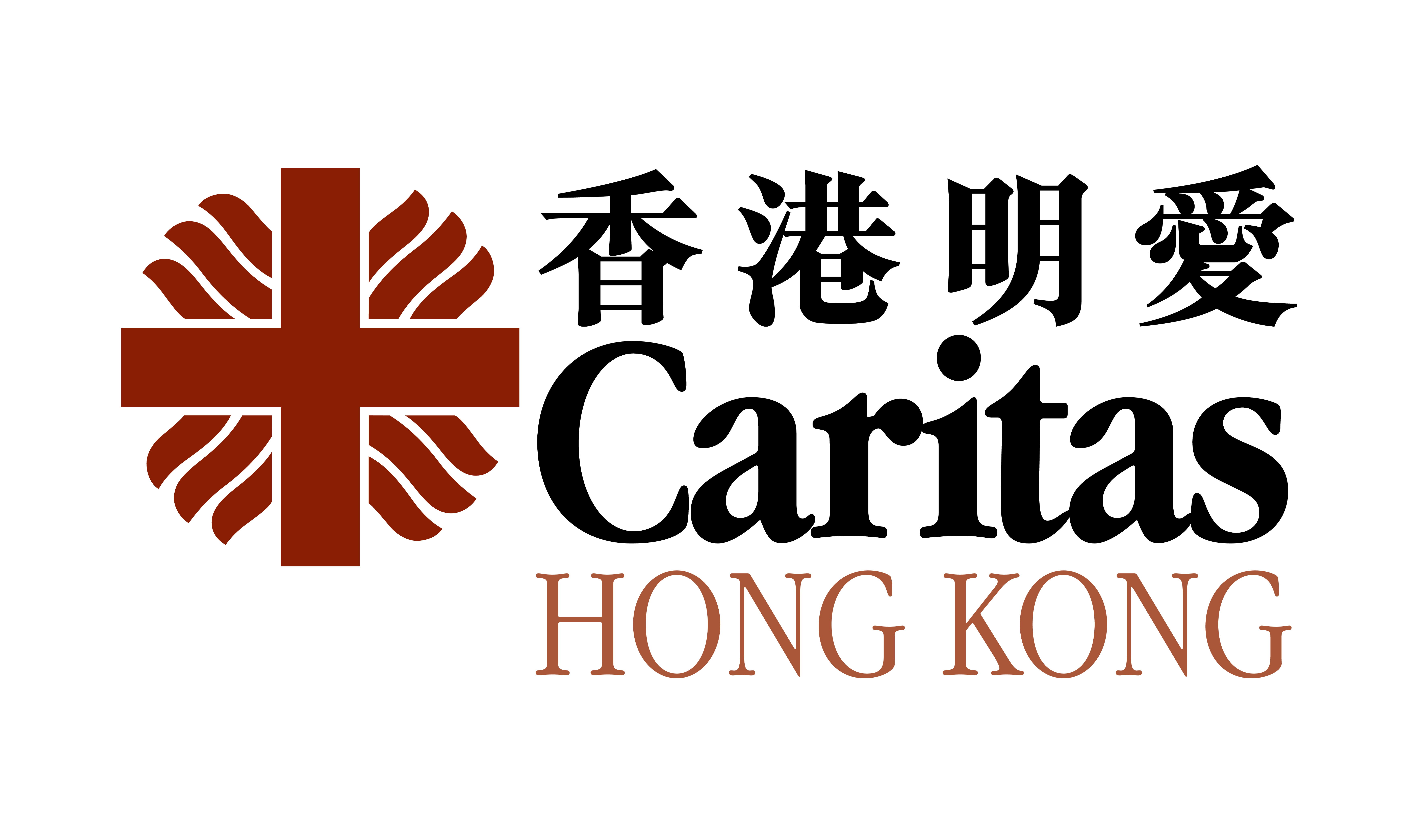 Caritas - Hong Kong (Social Work Services Division)